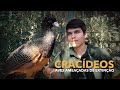 CRACÍDEOS | Aves ameaçadas de EXTINÇÃO!!! | #BIRDTV