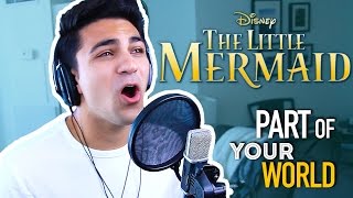 Part of Your World (Male Version) Disney Cover- The Little Mermaid | Daniel Coz chords