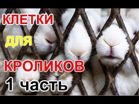 Клетки для кроликов.Клетки