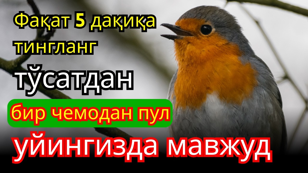 🔴ЭНГ КУЧЛИ РИЗҚ ДУОСИ БУ ДУОНИ ЎҚИНГ! КЎЗ ОЧИБ ЮМГУНЧА РИЗҚИНГИЗ КЕЛАДИ