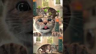 Little Kitten Adventure Cartoon Kitten And Animals - My Favorite Kitten Game