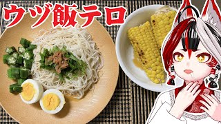 【飯テロ】みんなの飯テロ写真見て、楽しむ会久々！【Vtuber】#ウヅ飯テロ