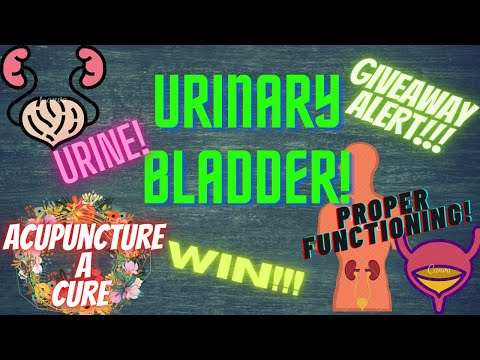 Urinary Bladder | proper functioning of urinary system | urine infection | Acupuncture points