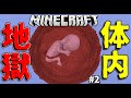 [マインクラフト] 地獄の体内 ザ・ドロッパー２ #2 [マイクラ 配布ワールド]