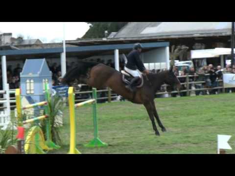 Medea Rouge- jumping horse by Papillon Rouge