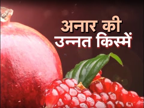 वीडियो: अनार के लिए कौन सी राशियाँ उपयुक्त हैं?