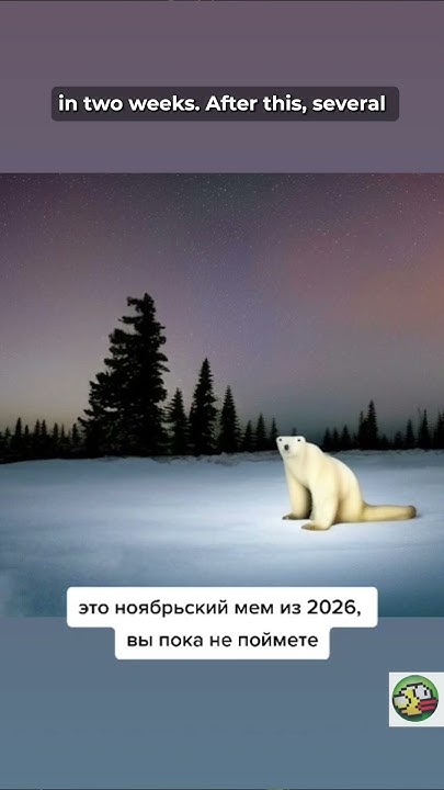 Мем из 2026 года белый медведь
