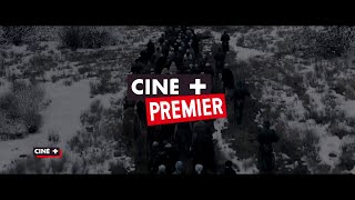 CINE+ VITRINE FEVRIER