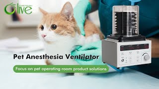 Olive Pet Anesthesia Ventilator Focus on pet operating room product solutions