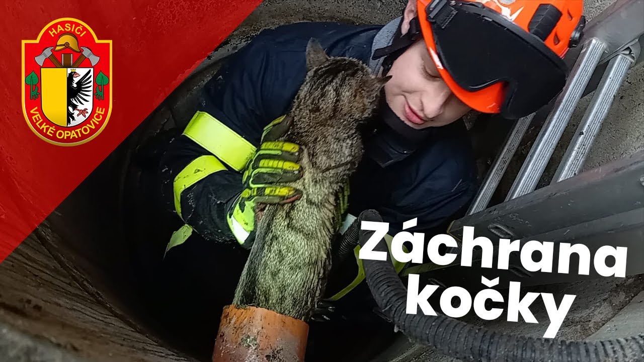 Záchrana kočky • JSDH Velké Opatovice