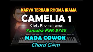 Camelia - Karaoke Nadapria Rhoma Irama