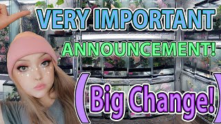 Last Video In The Reptile Room?