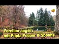 Forellen angeln in Taunus Angelpark mit  Popla Popper und Spoons