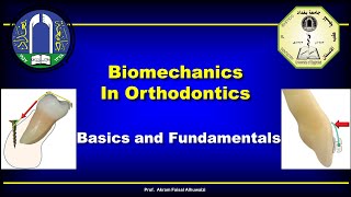 Biomechanics Fundamentals in Orthodontics