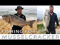 How to catch white musselcracker at ystervarkfontein