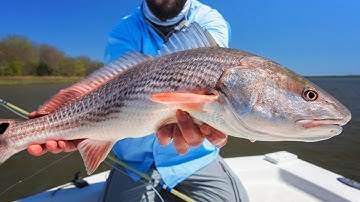 Catch n