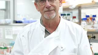 Uq Covid-19 Researchers Thanks To St Margaret Students