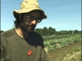 Yan gordon des potagers les  nues mains sutton aot 2012