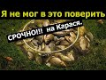 СРОЧНО! НОВЫЙ УБИЙЦА КАРАСЯ. УСПЕЙ СДЕЛАТЬ. Рыболовная насадка.