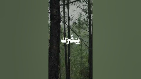 القرآن #تلاوة_خاشعة #ياسر_الدوسري #القرآن #قرآن #القرآن_الكريم #اهل_القرآن #لايك #محمد_اللحيدان