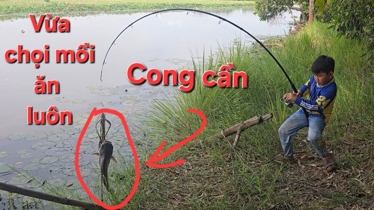 Latest Title & Thumbnail