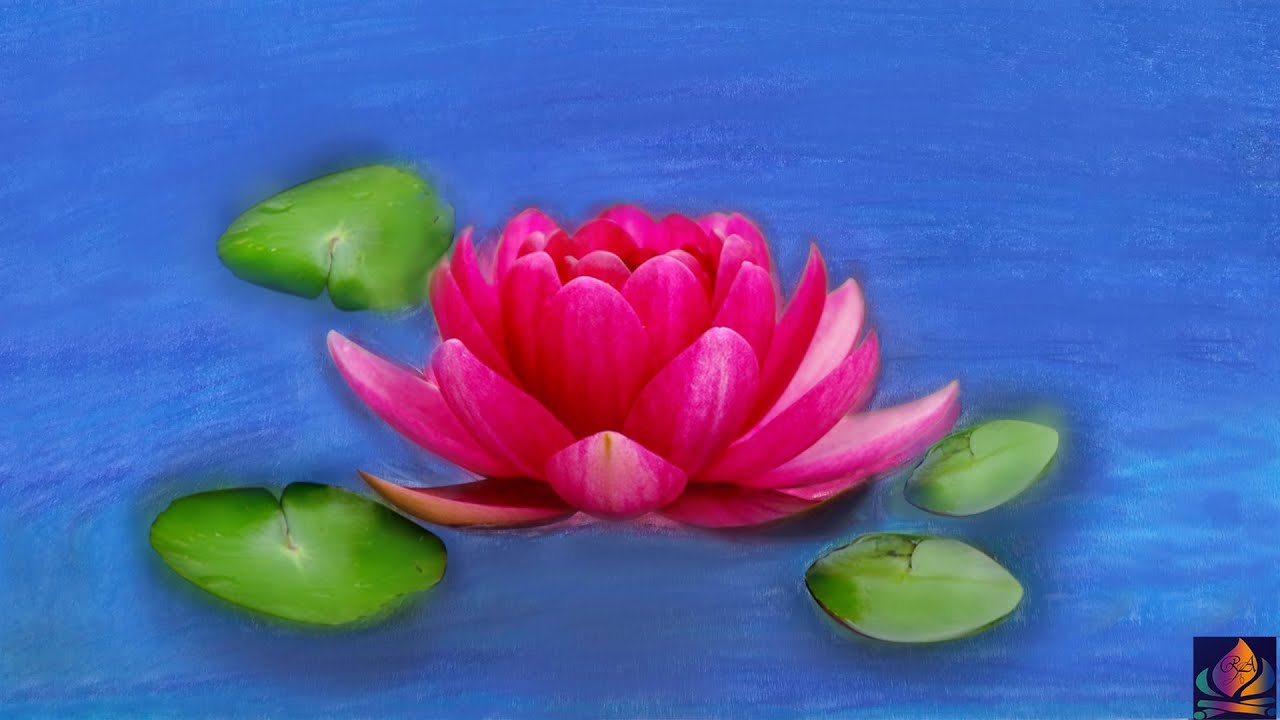 pics Flower Lotus Flower Easy Oil Pastel Drawing how to draw a lotus easy oil pastel drawings lotus flower how to draw flowers for beginners
