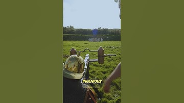 Ancient Rome’s Ingenious Sniper Weapon: Manubalista