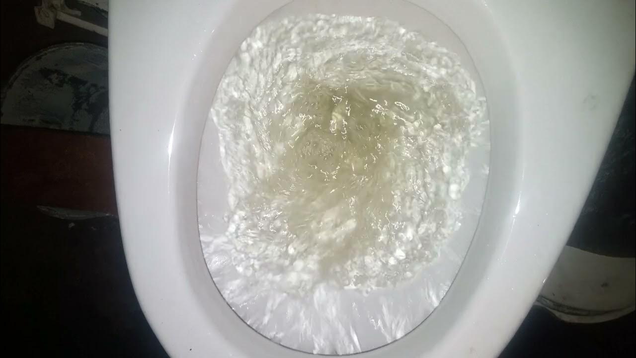 2000 Eljer Canterbury Toilet YouTube