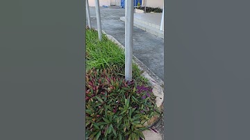 Use Shazam to find the song.