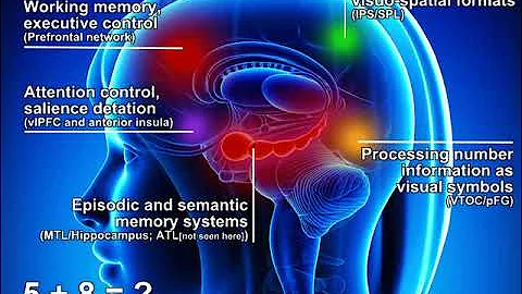 Math Is Not a Language!