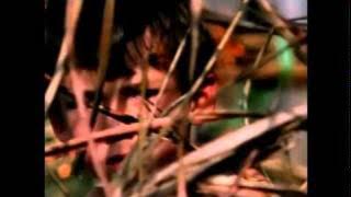 Enigma   The Eyes Of Truth