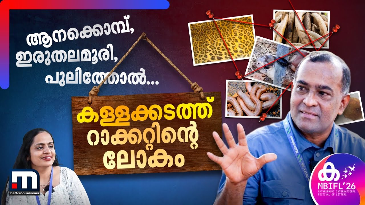 ഈനാംപേച്ചി, ഇരുതലമൂരി, ആനക്കൊമ്പ്, കടുവയുടെ എല്ല്; അധികമാർക്കും അറിയാത്ത വനം കള്ളക്കടത്ത് ലോകം