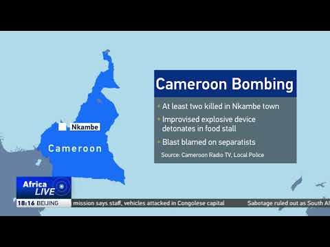 At least 2 killed, dozens injured in Cameroon bombing
