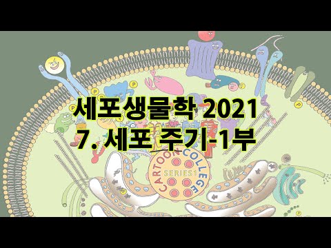 2021 세포생물학 chapt 7 세포주기 1