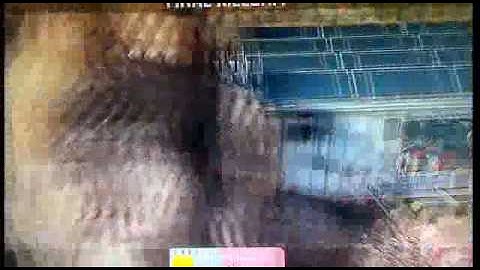 Ctf Glitch Trickshot Montage