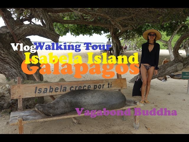 Walking tour Sendero de la Isla  Travel in Ecuador and Galapagos