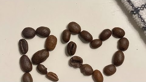 سورة الفلق مكررة بصوت الشيخ هيثم الدخين