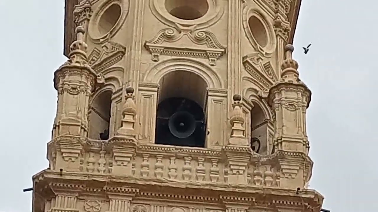 Volteo de Domingos en la Concatedral de la Redonda de Logroño