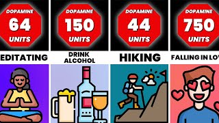 Comparison Human Pleasure