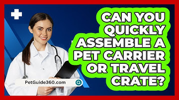 Can You Quickly Assemble A Pet Carrier Or Travel Crate? - PetGuide360.com