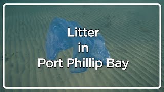 Litter in Port Phillip screenshot 3