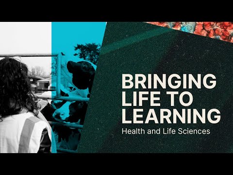 Health and Life Sciences at the University of Bristol Bringing Life to Learning by University of Bristol