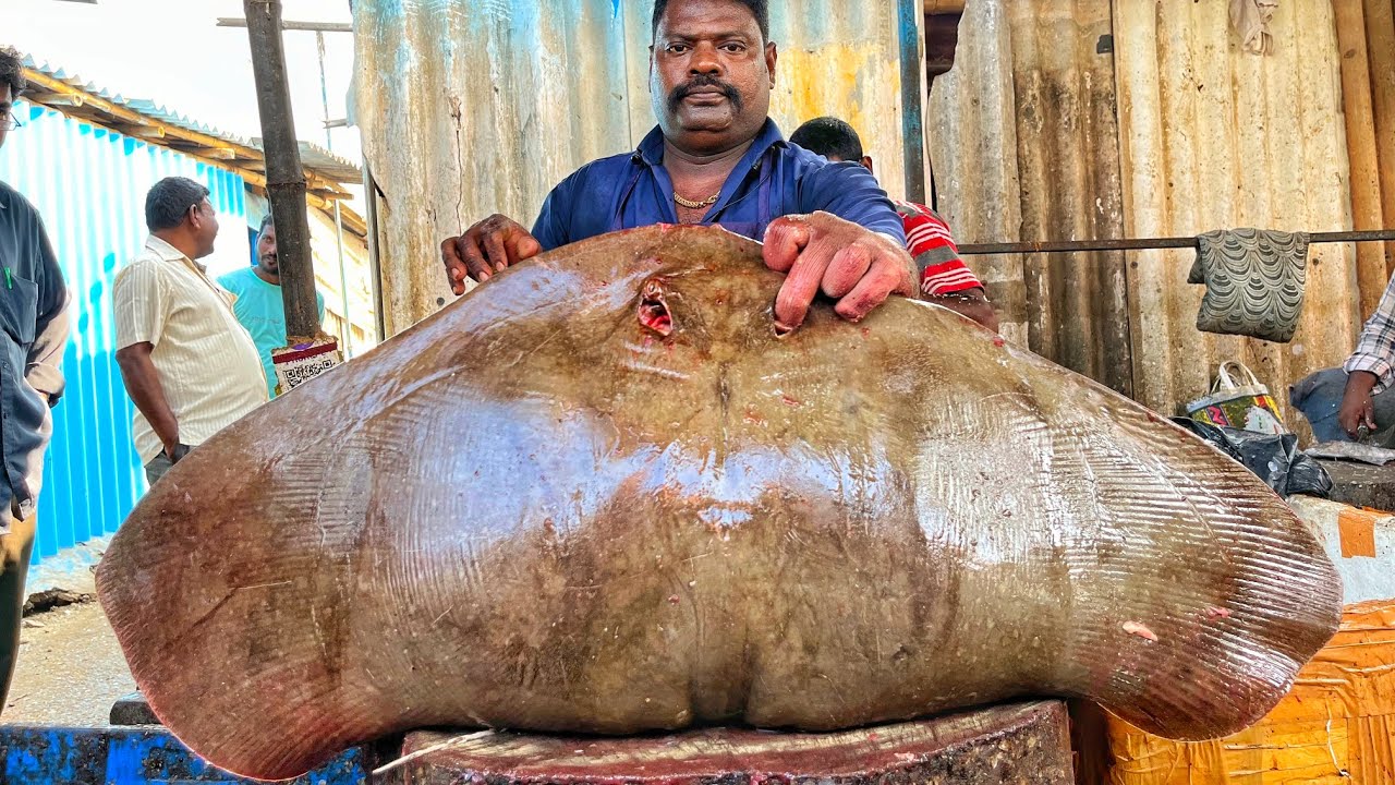 KASIMEDU SPEED SELVAM FISH CUTTING VIDEO