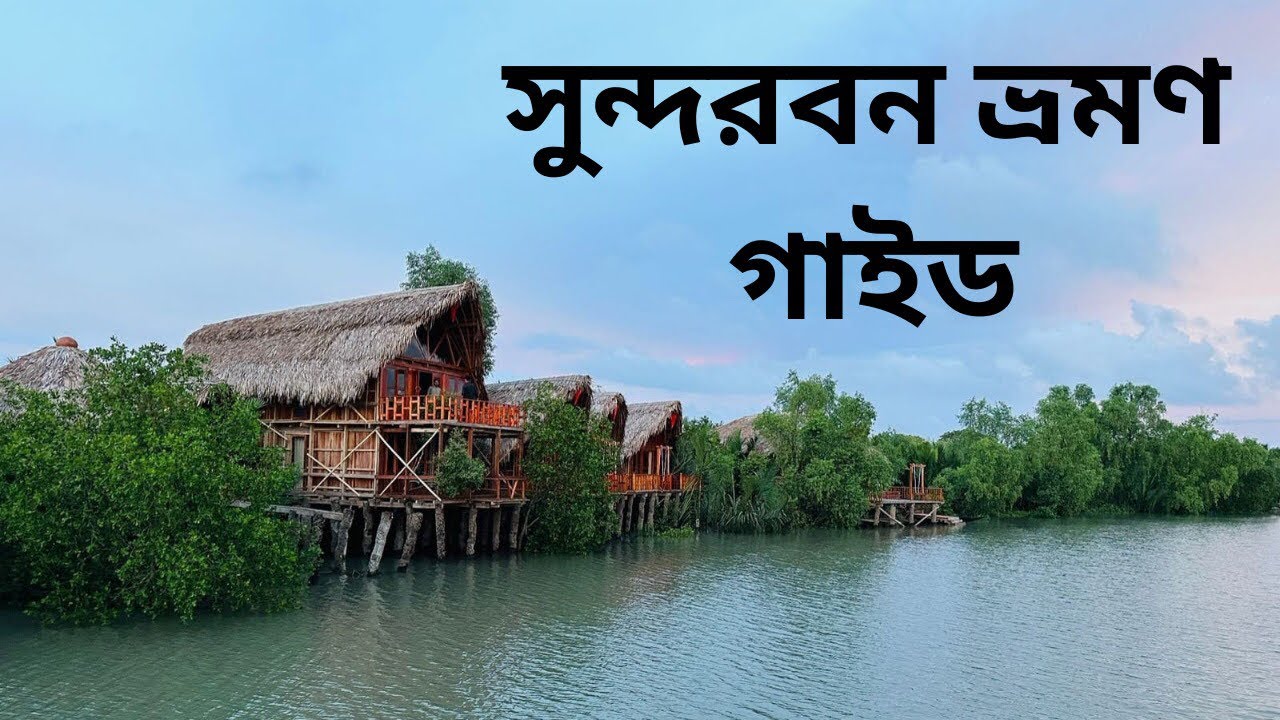 সুন্দরবন ভ্রমনের রোমাঞ্চকর অভিজ্ঞতা | জংগল বাড়ি রিসোর্ট | sundarban| junglebari resort