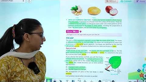SCI-6  | CH-4 | GETTING TO KNOW PLANTS