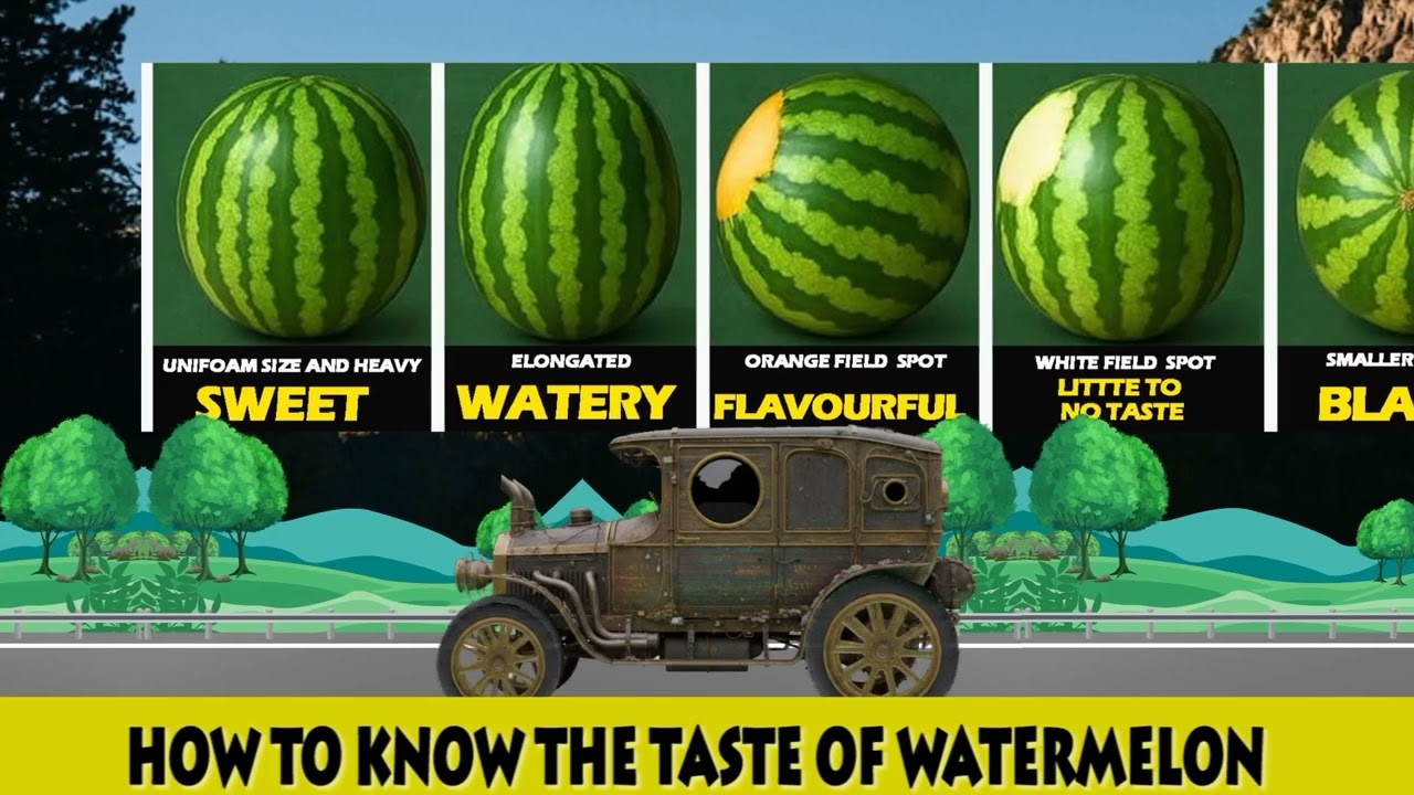 How to know different types,taste and sizes of watermelon 🍉  just by looking at it external features
