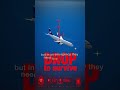 Why Planes Avoid Flying Over Tibet ✈️ (Shocking Truth) 🚫