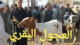 اسعار العجول القاني والمحيرة واللحم بسوق الخميس اليوم ٢٦/ ١٠/ ٢٠٢٣م