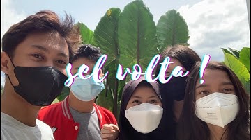 Praktikum Sel Volta dengan Jeruk Nipis