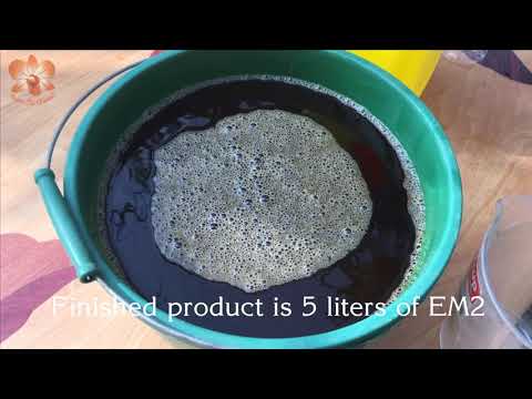 Video Cách làm EM2 cực nhanh và hiệu quả từ chế phẩm vi sinh... - youtube